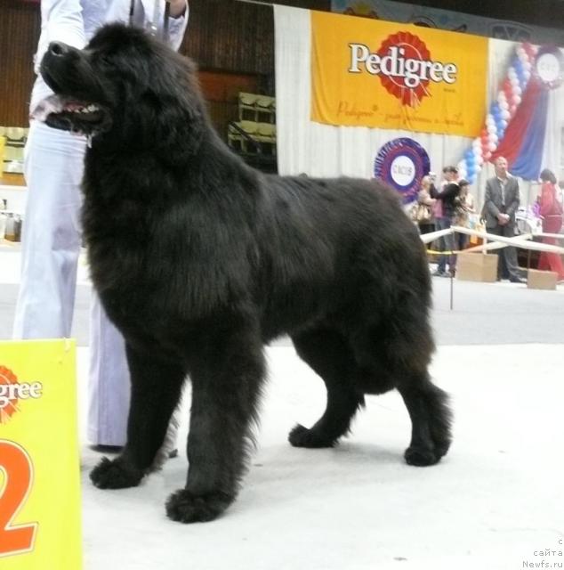 Фотография № 31140