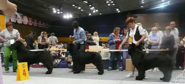 Фотография № 31144