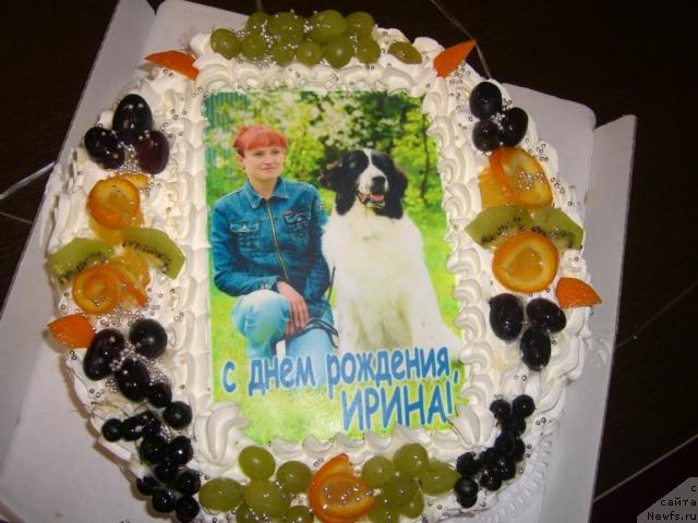 Фотография № 31163