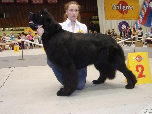 Фотография № 31180