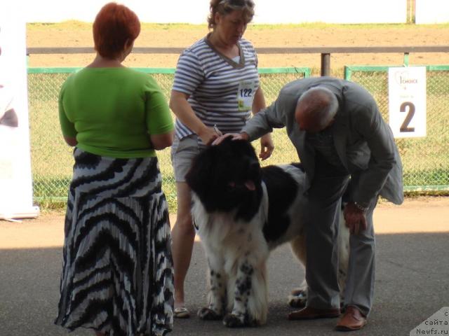 Фотография № 31181