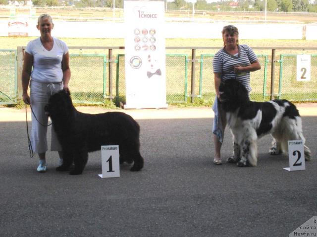 Фотография № 31185