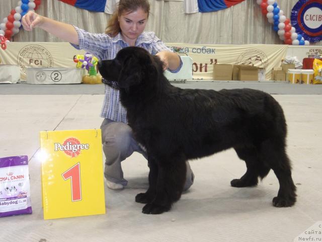 Фотография № 31186