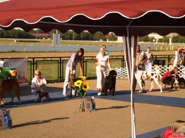 Фотография № 31190