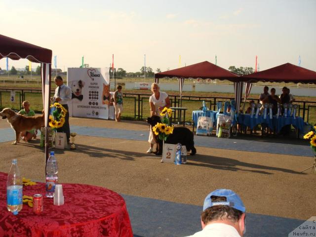 Фотография № 31191