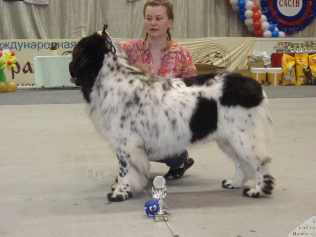 Фотография № 31202