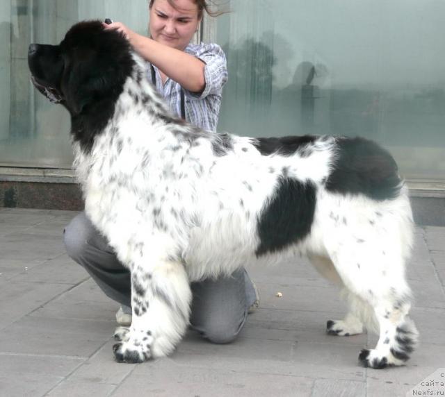 Фотография № 31265