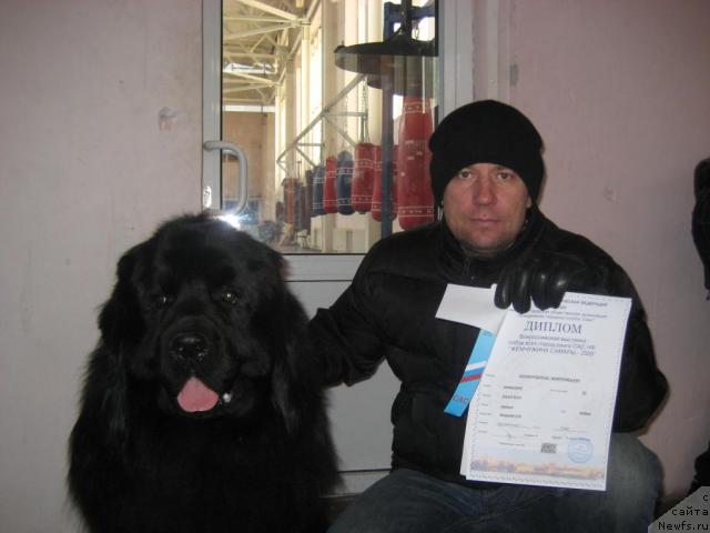 Фото: ньюфаундленд Ллойд Блэк