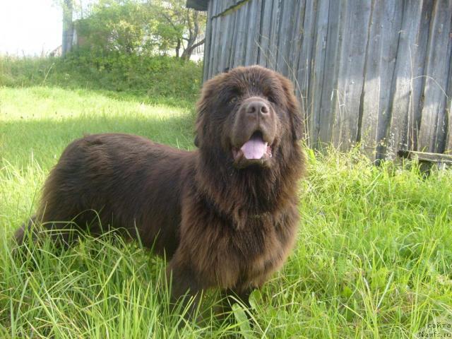 Фотография № 31543