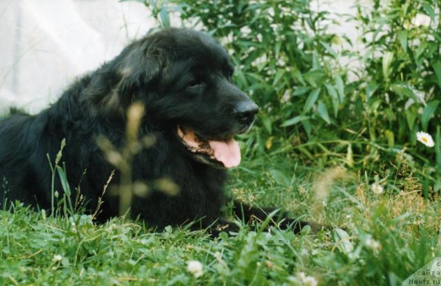 Фотография № 31617