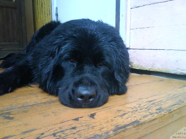 Фотография № 31627