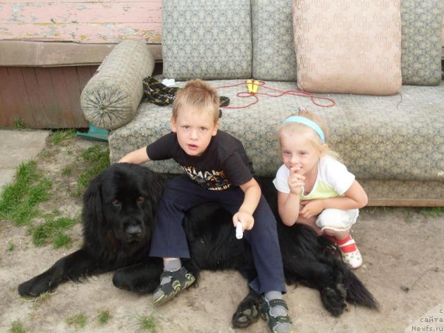 Фотография № 31628