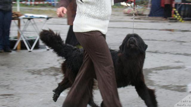 Фотография № 31679