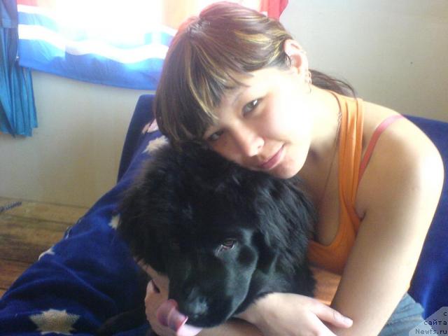 Фото: ньюфаундленд Терра Нова от Сибирского Медведя, Ирина Юлдашева