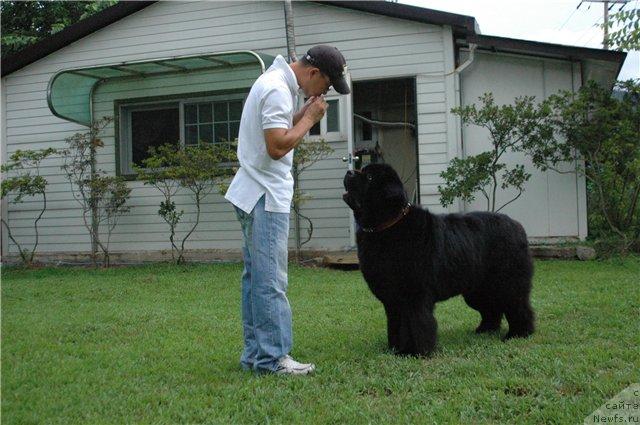 Фотография № 31860