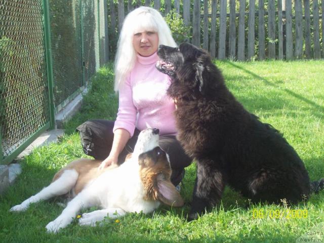 Фото: Навилотош Номохарис Норис, Анна Портнякова, ньюфаундленд Ласковый Мишка