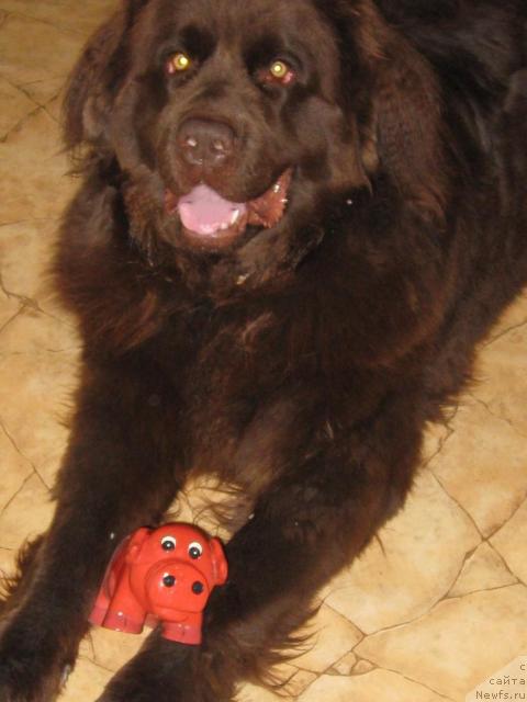 Фото: [Вива Виктория Нью Спейсd8729]
владелица Чистякова Ирина, 16.09.2007