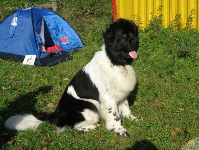 Фотография № 32009