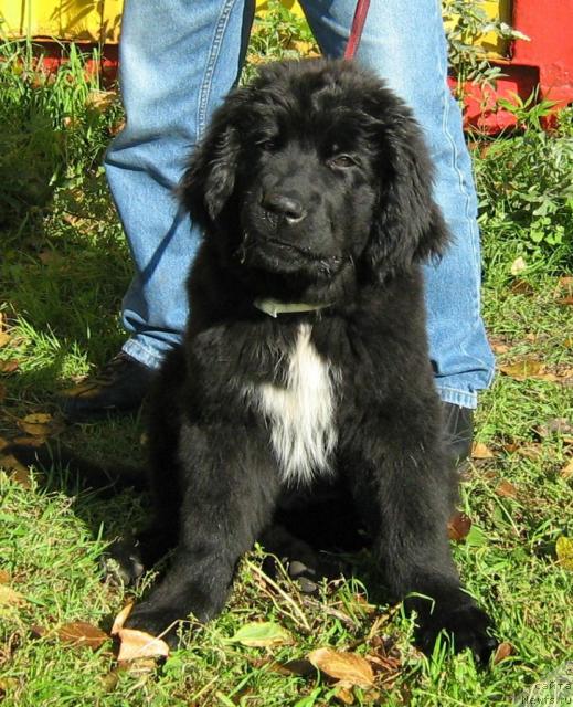 Фотография № 32017