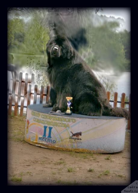 Фотография № 32018