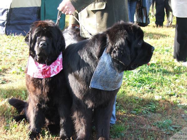 Фотография № 32036