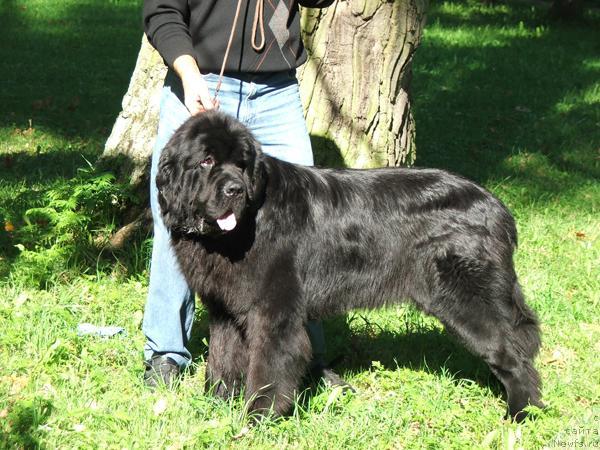 Фотография № 32038