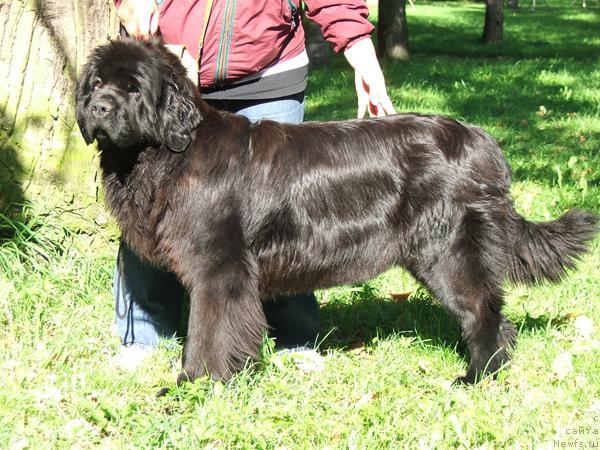 Фотография № 32039