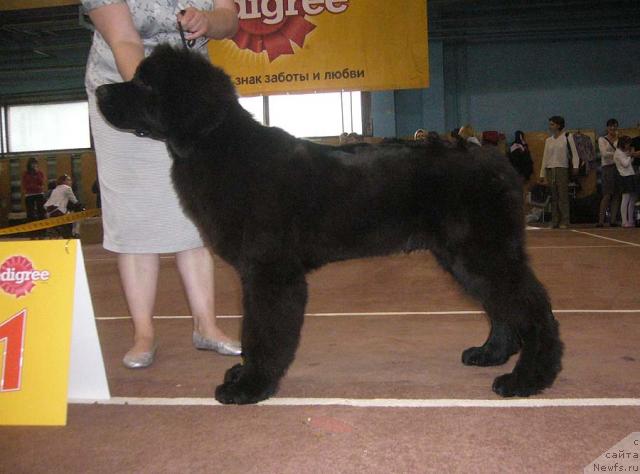 Фотография № 32044