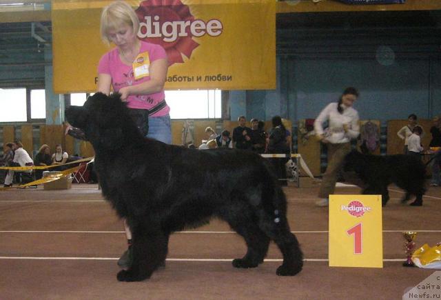 Фотография № 32049