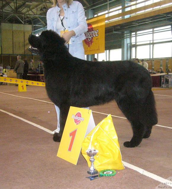 Фотография № 32050