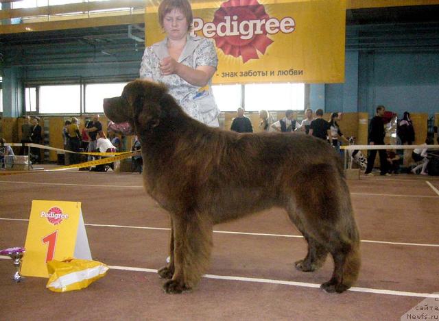 Фотография № 32051