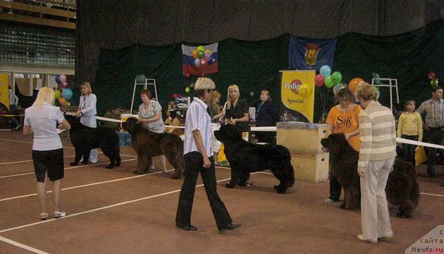 Фотография № 32054