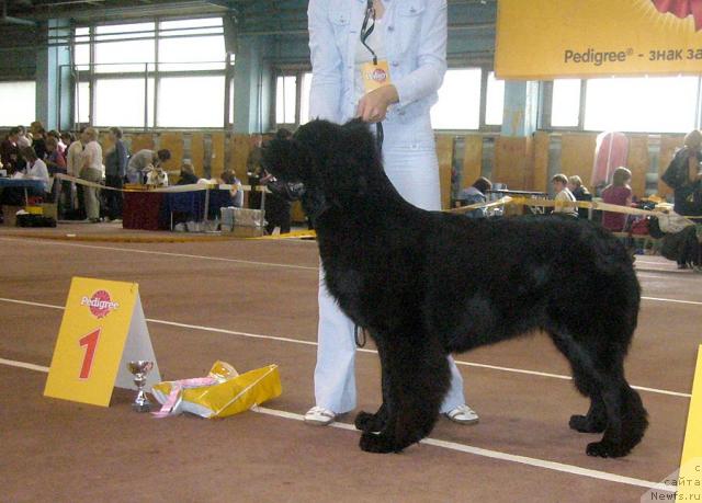 Фотография № 32055