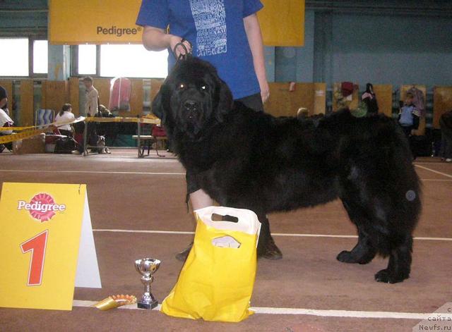 Фотография № 32058