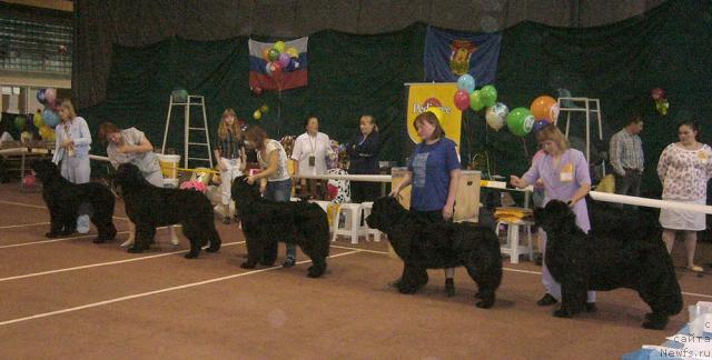 Фотография № 32063