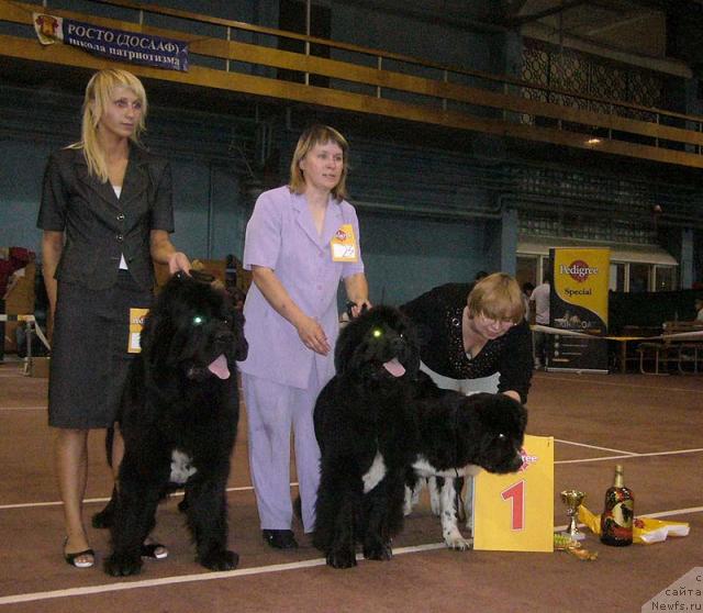 Фотография № 32064