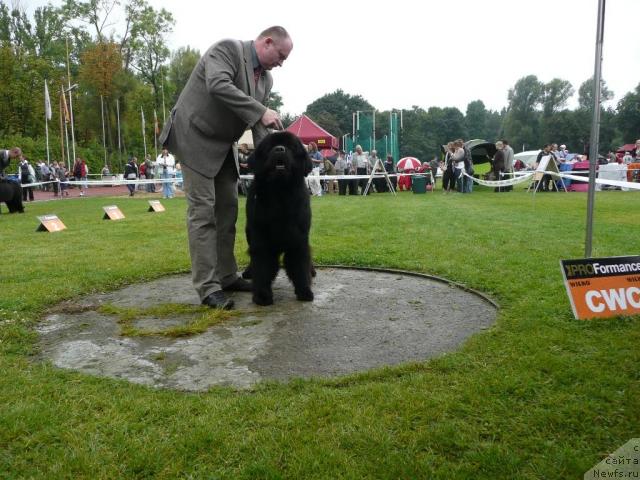 Фото: NIGER Z KAPIELISKA MARZENY