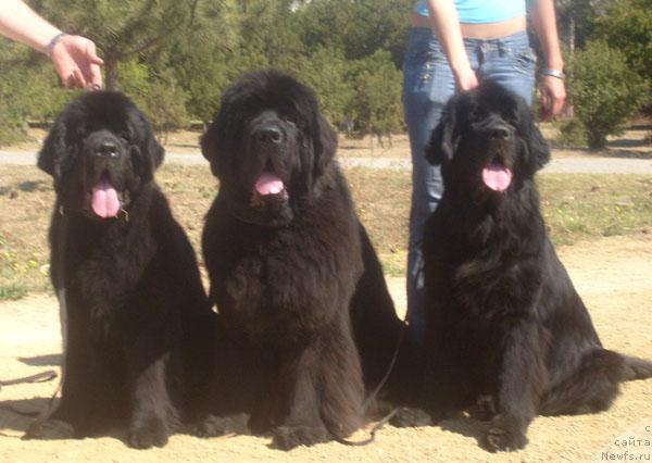 Фотография № 32106