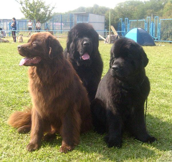 Фотография № 32111