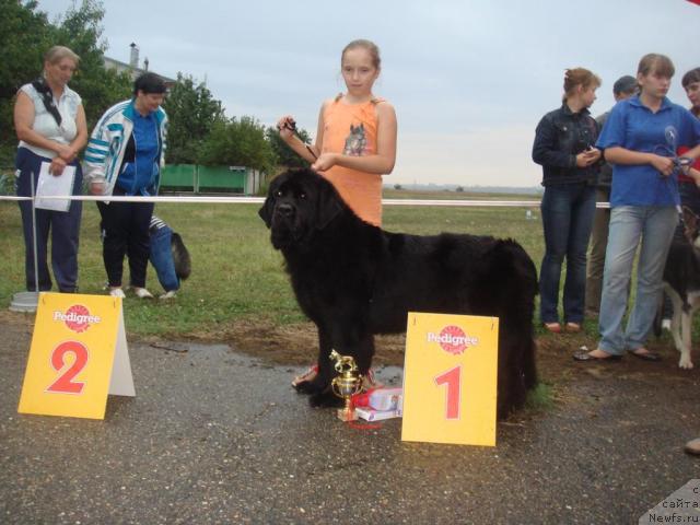 Фотография № 32119