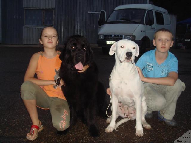 Фотография № 32120