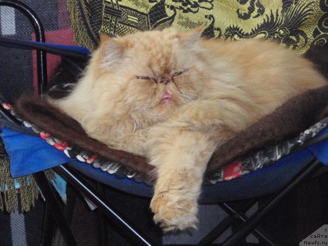 Фотография № 32123