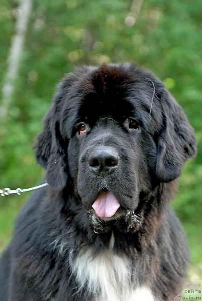 Фотография № 32131