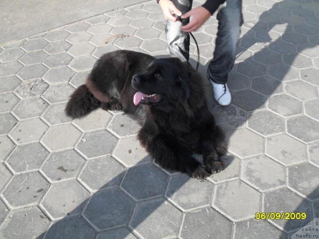 Фотография № 32139