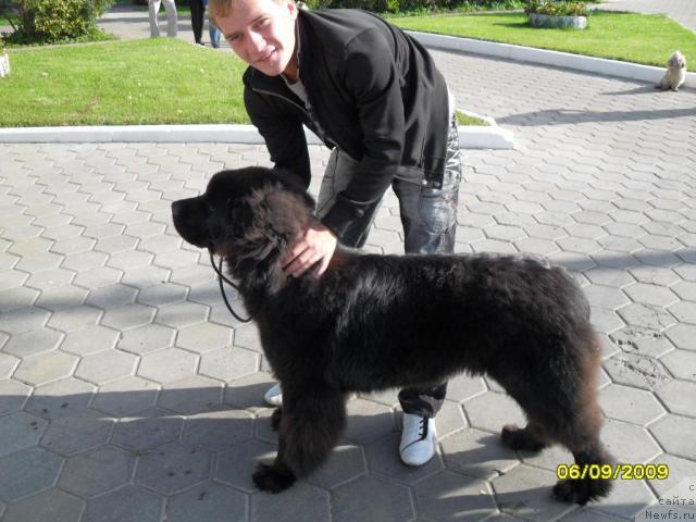 Фотография № 32140