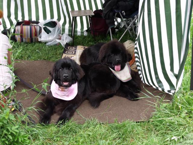 Фотография № 32141