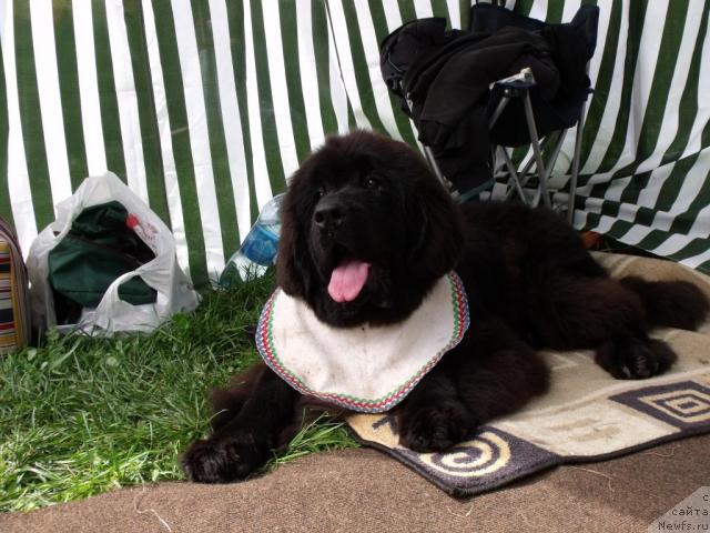 Фотография № 32142