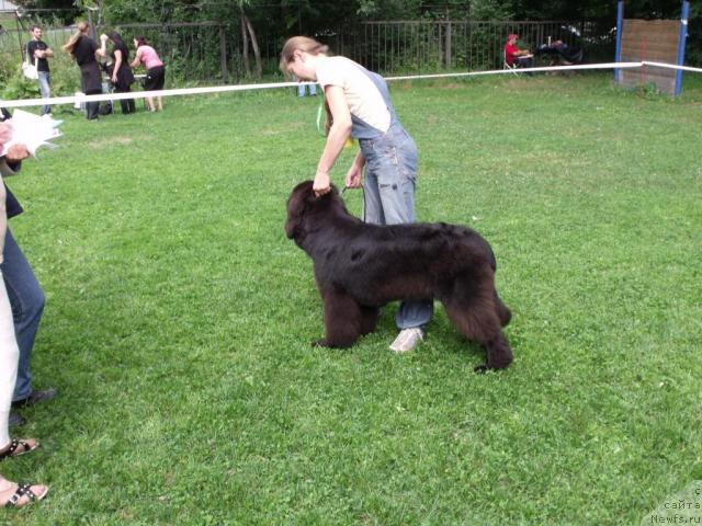 Фотография № 32143