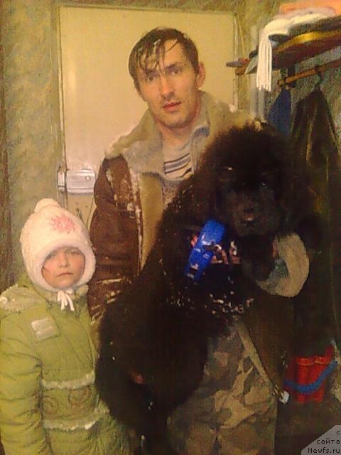 Фотография № 32144