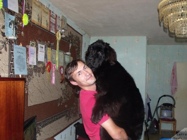 Фотография № 32145